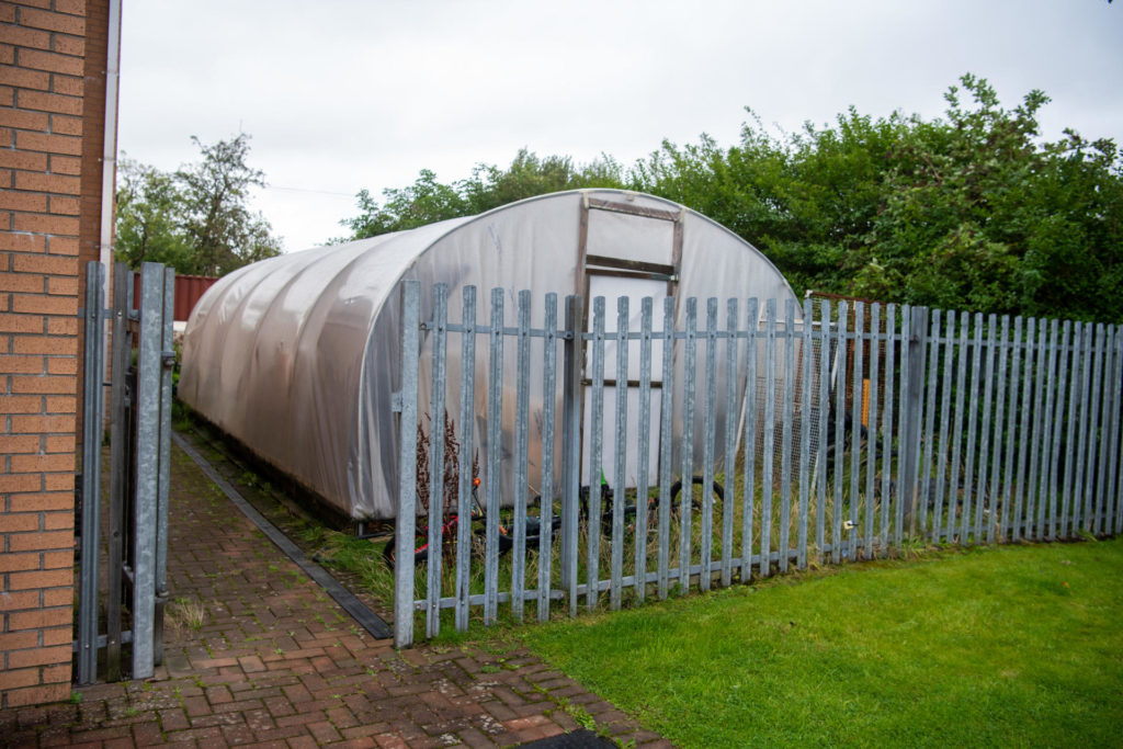 Photograph: A poly-tunnel sits alongside some overgrown hedges at the side of Centre81