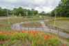 Gilmerton to Shawfair ramp, Midlothian ©2019, Sustrans Scotland